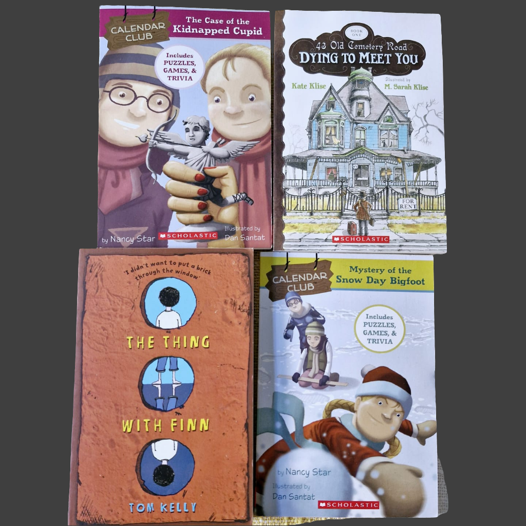 Set of 4 Assorted Chapter Books
