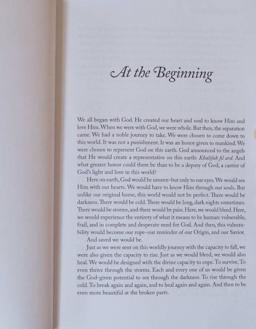 Healing the Emptiness: A Guide to Emotional and Spiritual  Well-being by Yasmin Mogahed