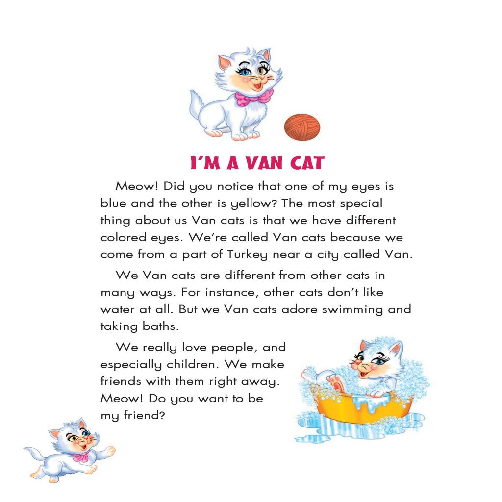 Snowball the Van Cat Learns Allah's Name As-Samee