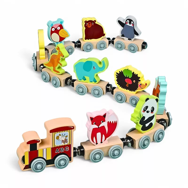 Little Magnetic Train Set