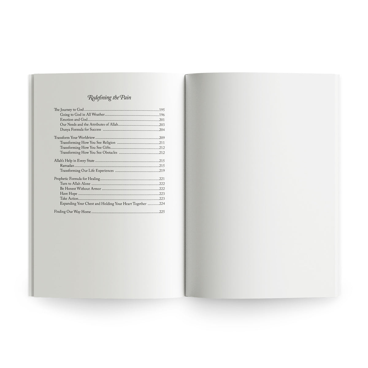 Healing the Emptiness: A Guide to Emotional and Spiritual  Well-being by Yasmin Mogahed