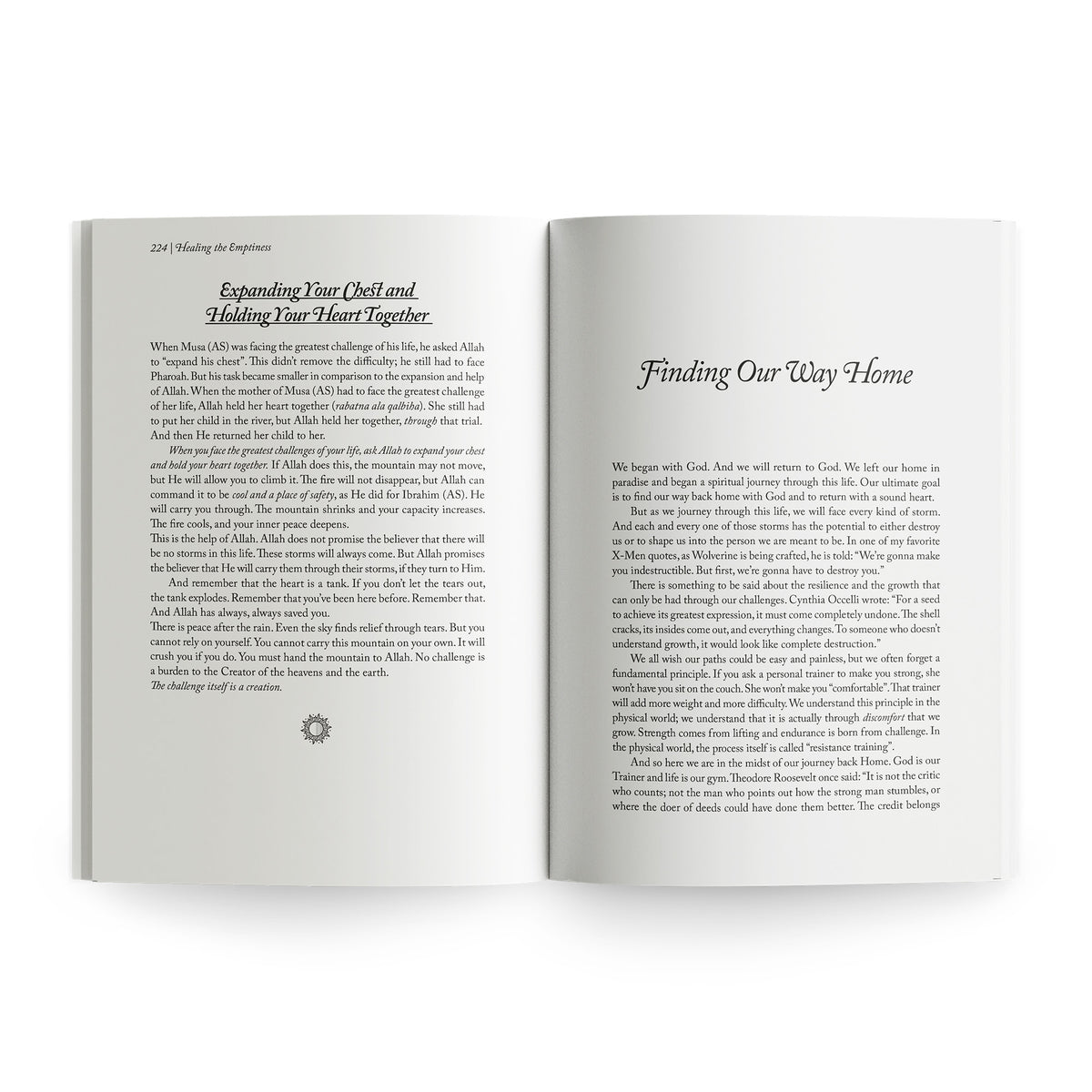 Healing the Emptiness: A Guide to Emotional and Spiritual  Well-being by Yasmin Mogahed
