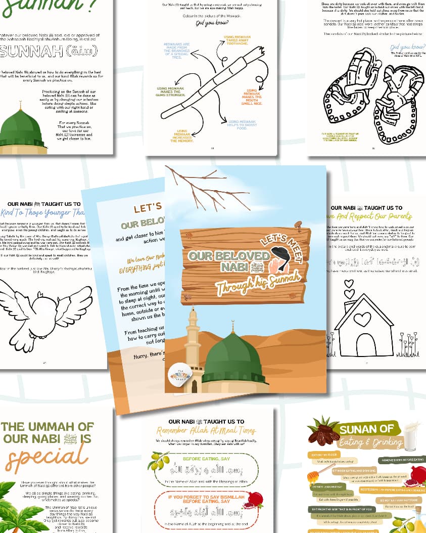 Let's Meet our Beloved Nabi ﷺ  Through His Sunnah