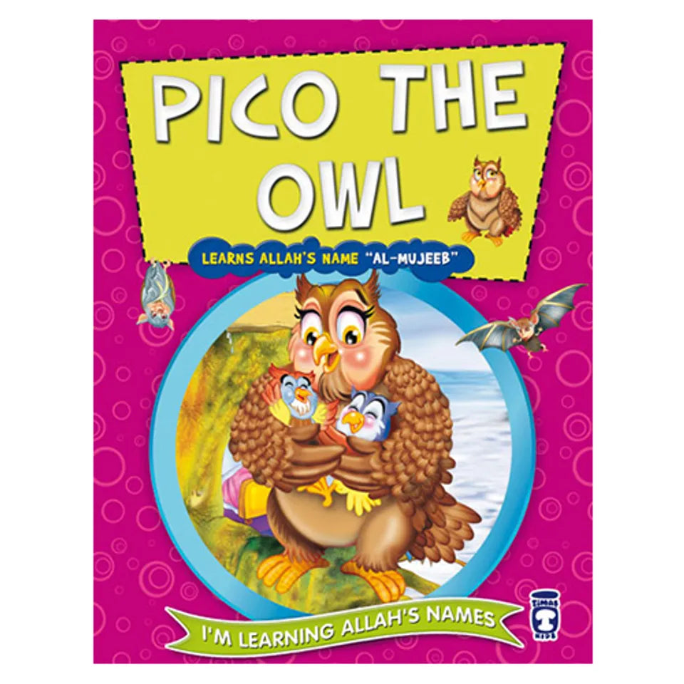 Pico the Owl Learns Allah's Name Al-Mujeeb