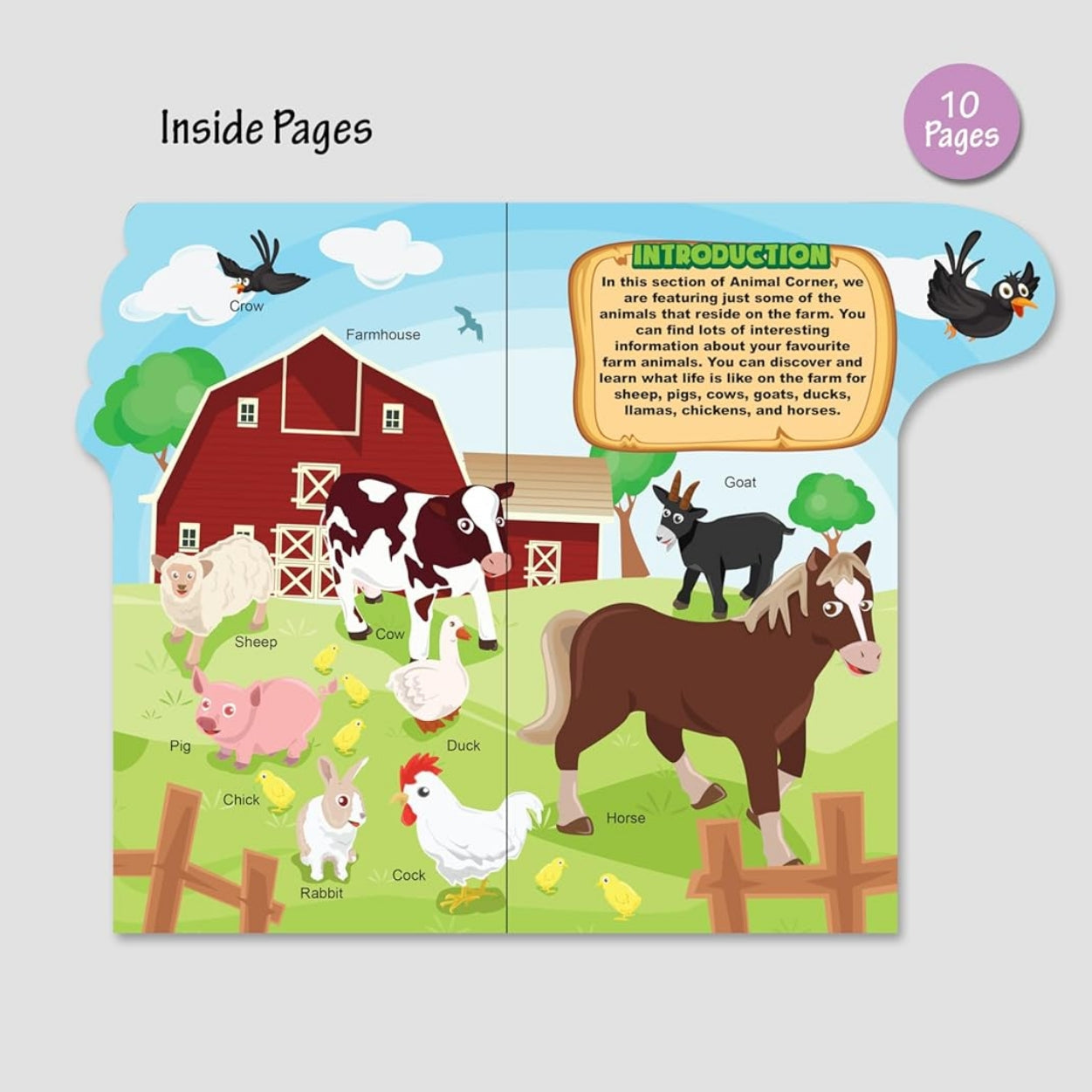 Farm Friends: Fun on the Farm