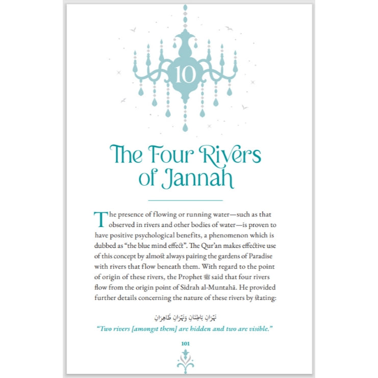 Jannah: Home at Last by Omar Suleiman (Hardback)