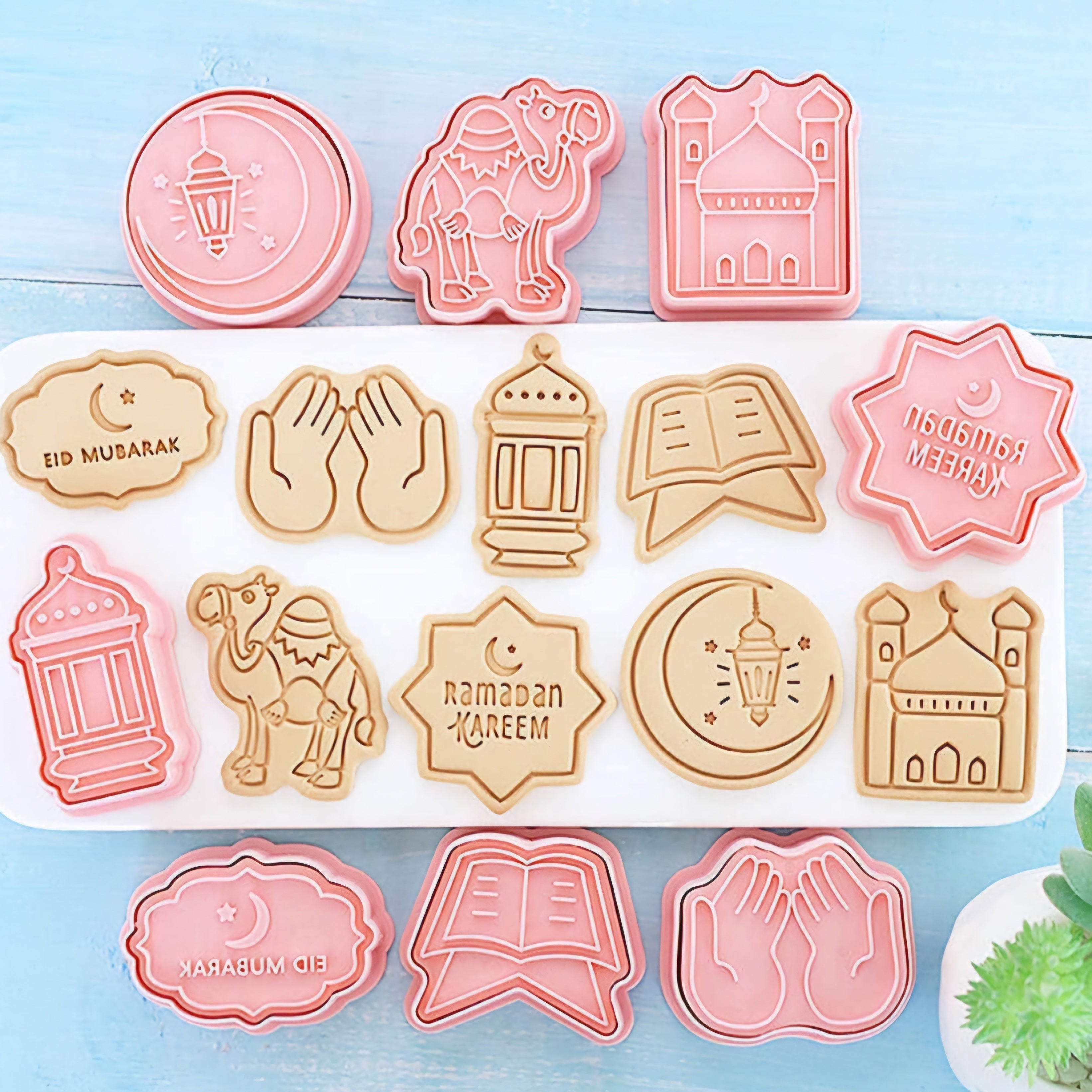 8 Piece Cookie Mould Set