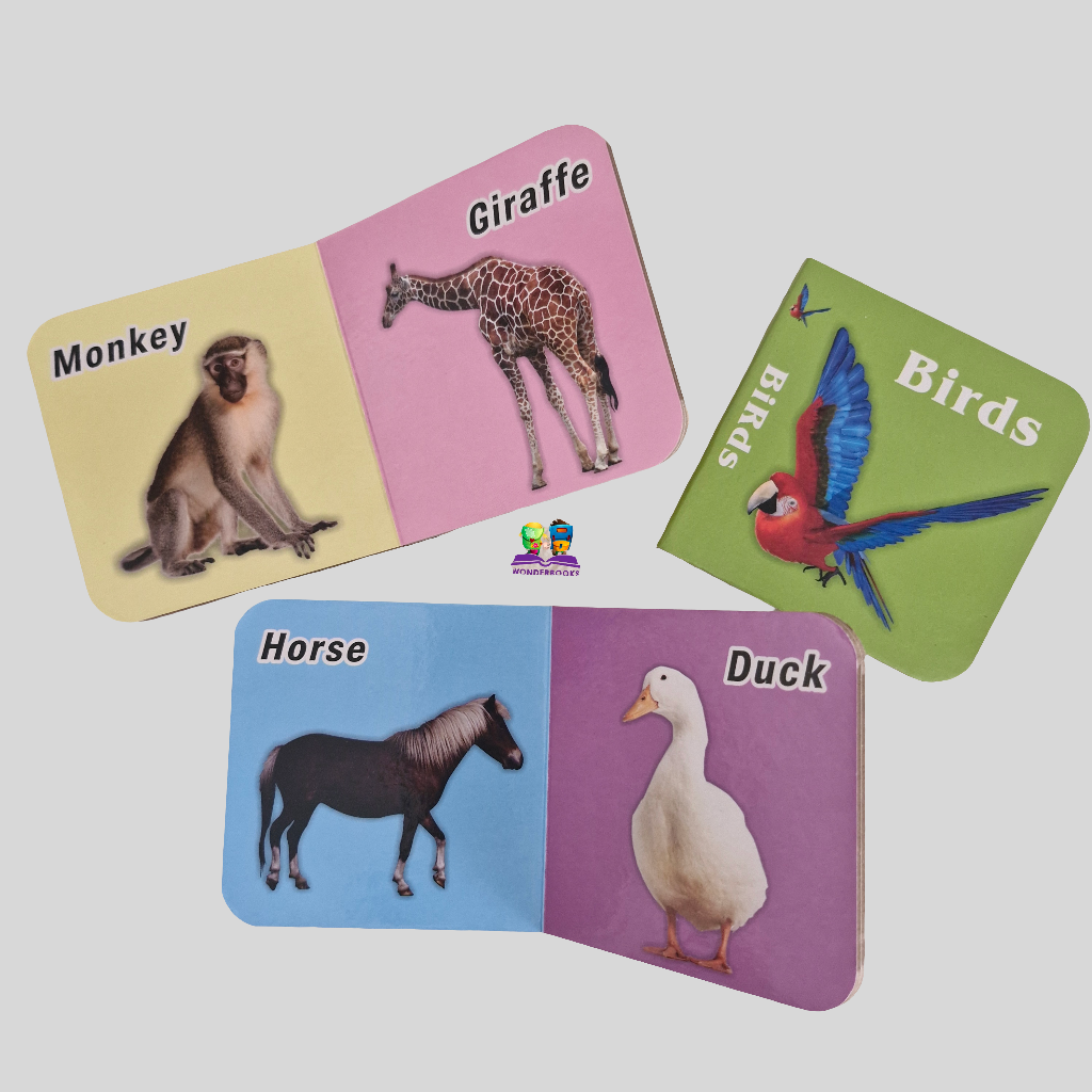 Set of 6 Chunky Board Books