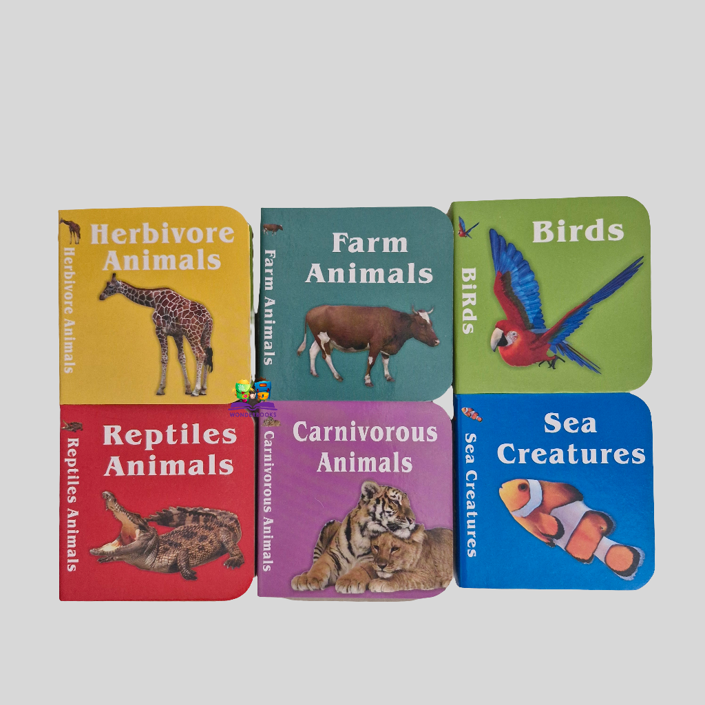 Set of 6 Chunky Board Books