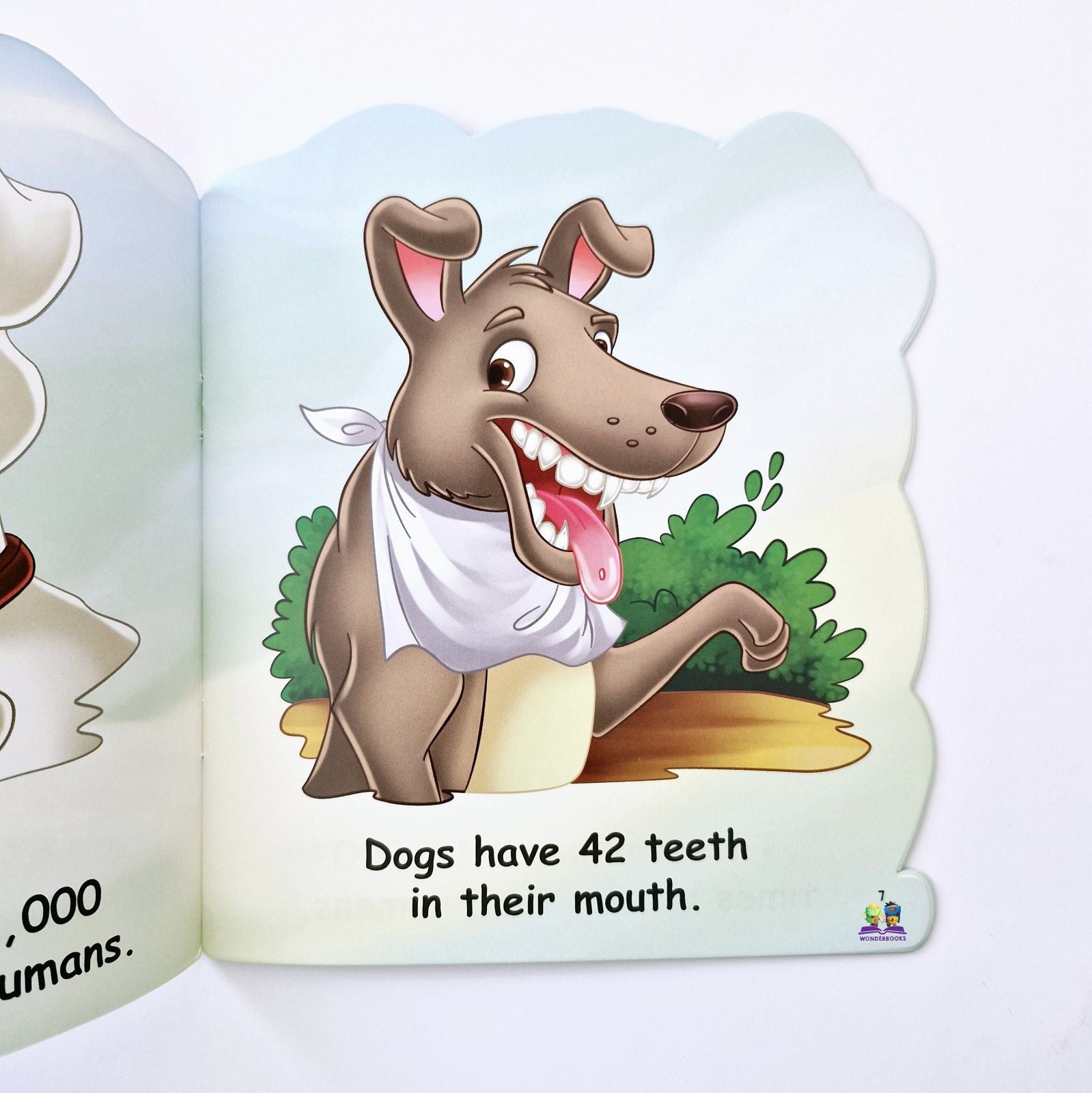 I am a Dog: Read More About Me