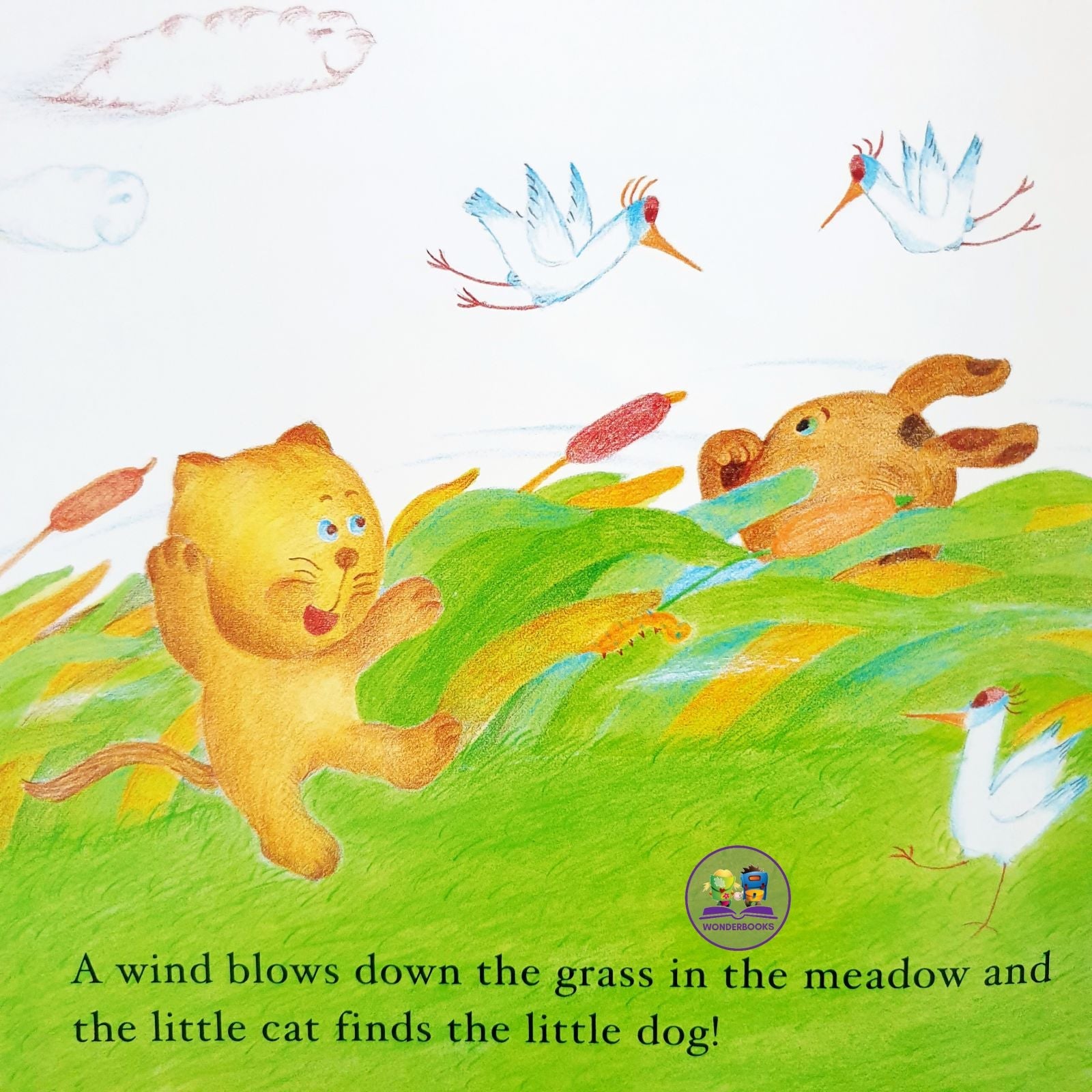 Early Readers Set of 10: Audio Book Set 1