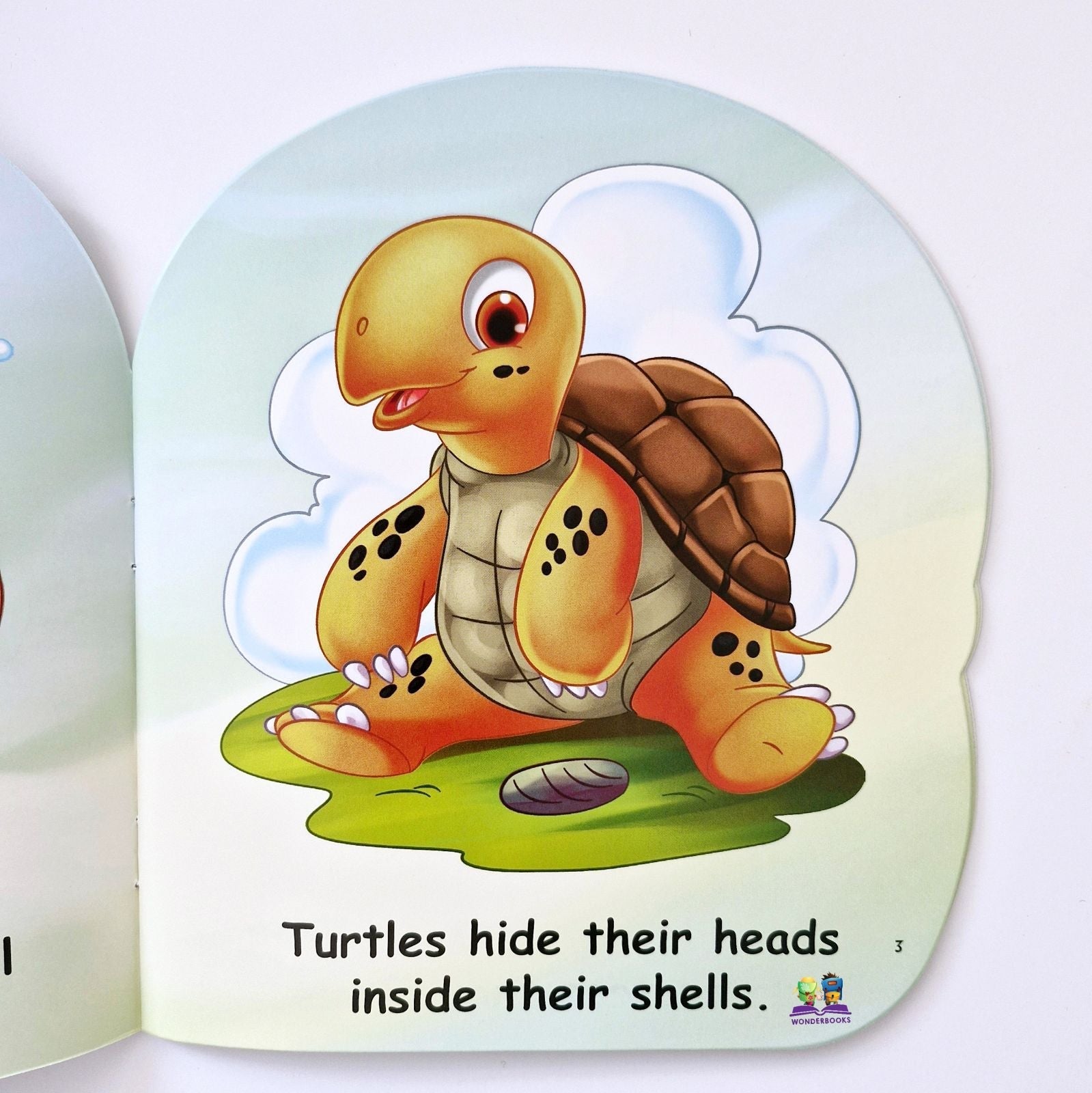 I am a Turtle: Read More About Me