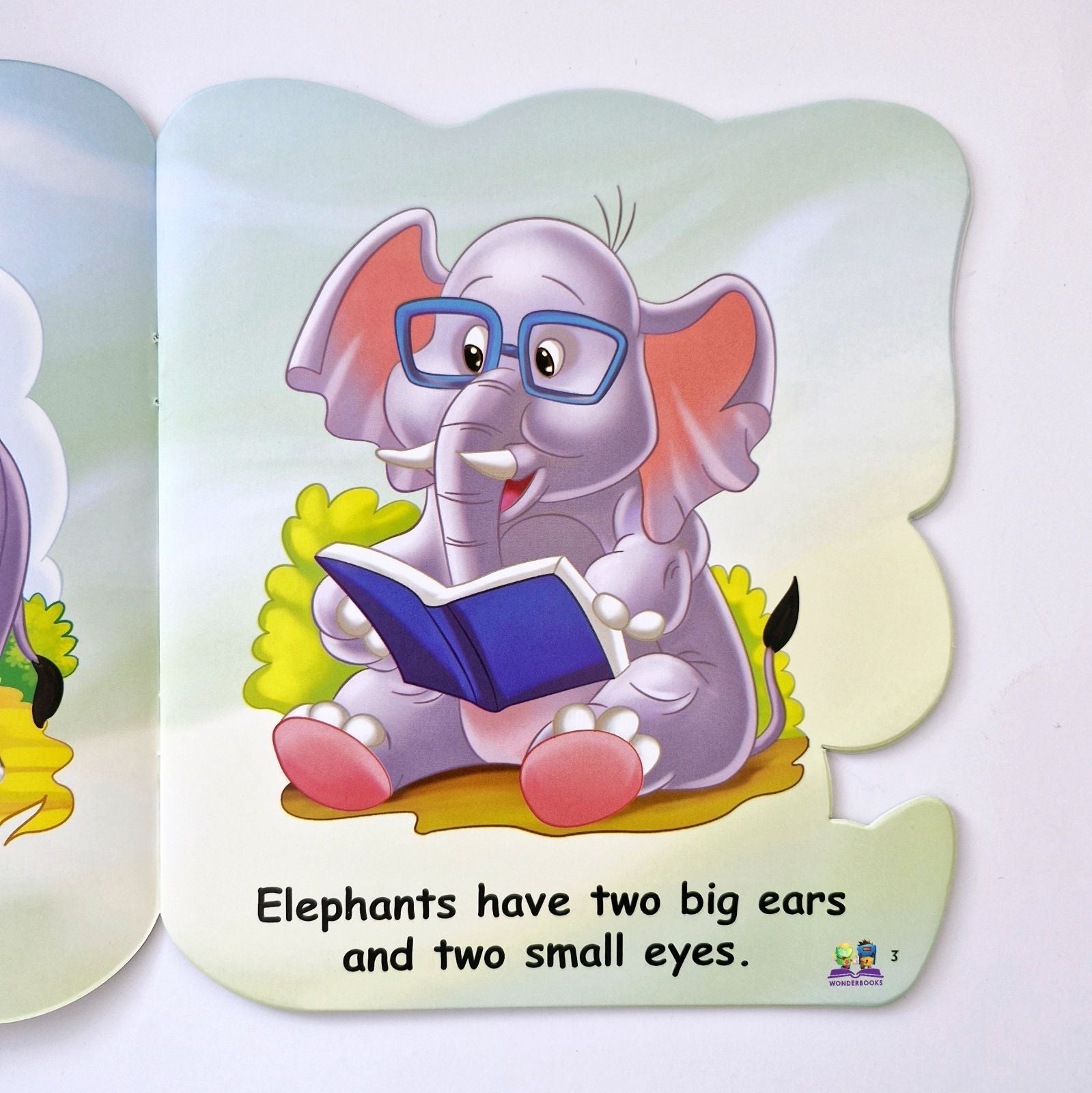 I am an Elephant: Read More About Me