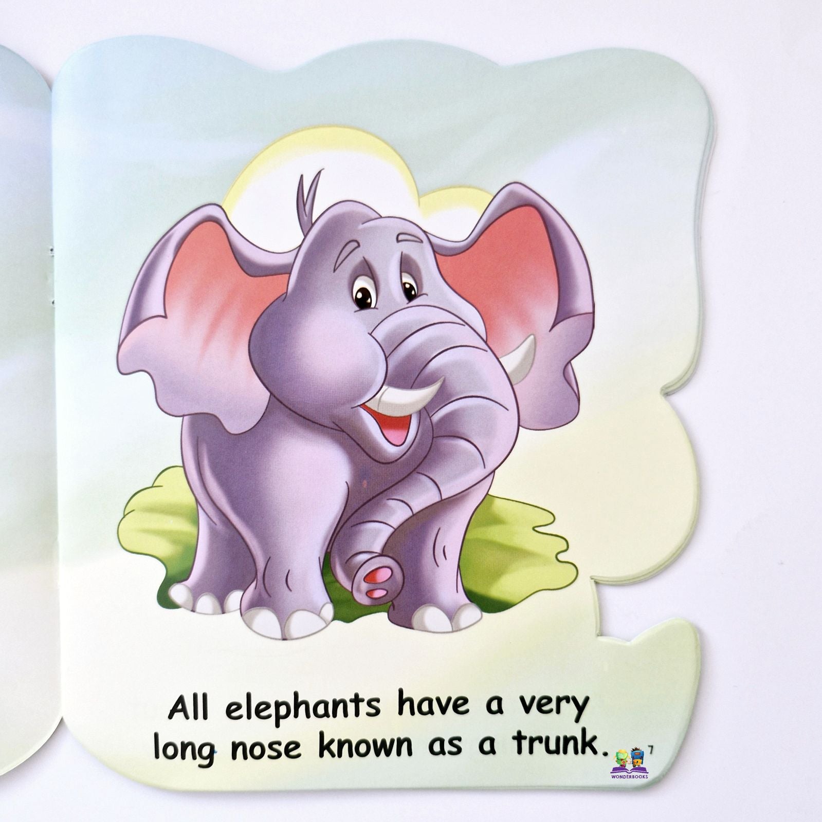 I am an Elephant: Read More About Me