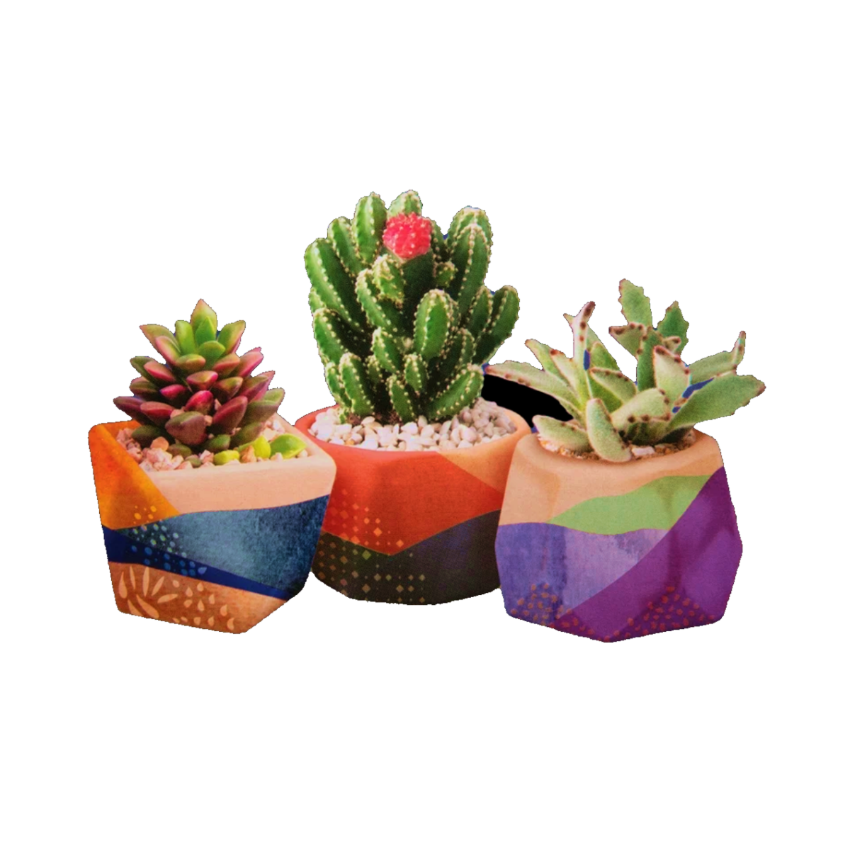 Paint your own Ceramic Planters