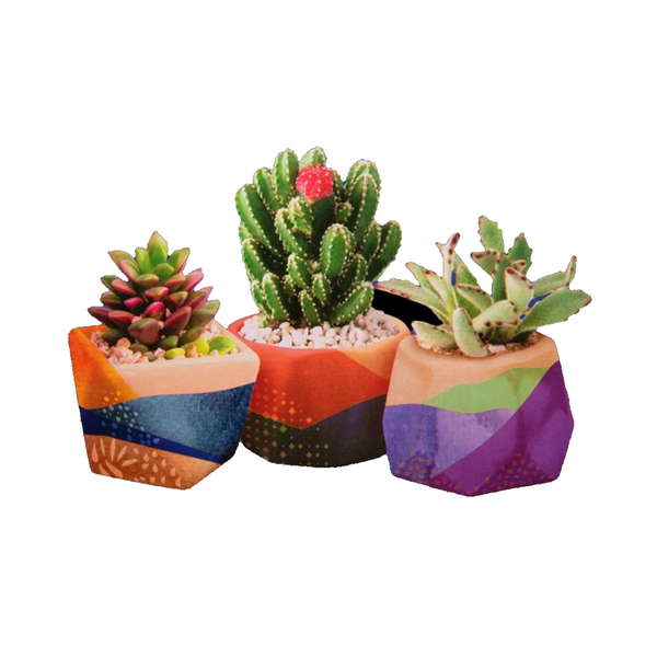 Paint your own Ceramic Planters