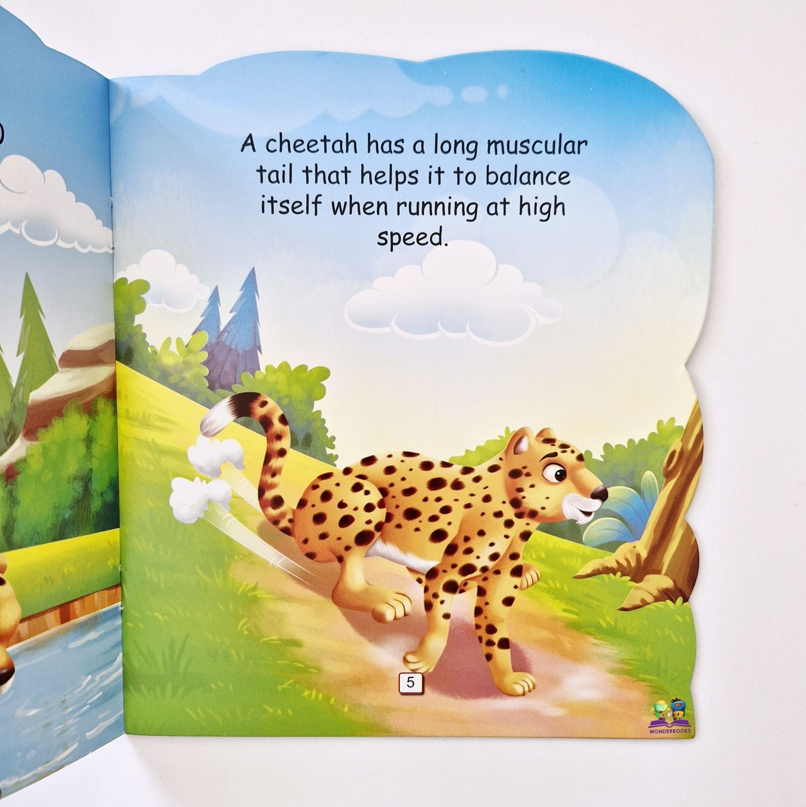 I am a Cheetah: The fastest land animal in the world