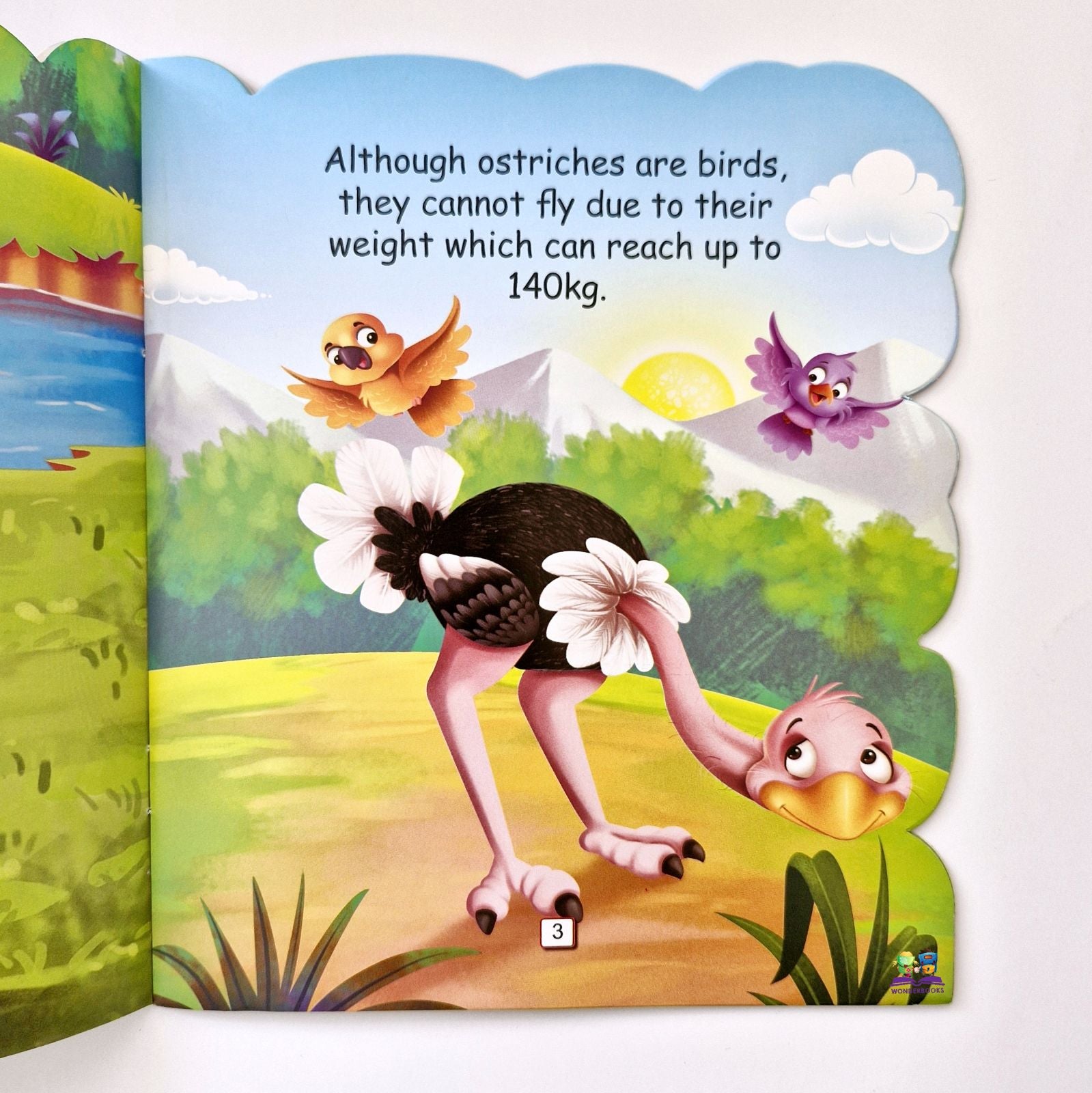 I am an Ostrich: The largest bird in the World