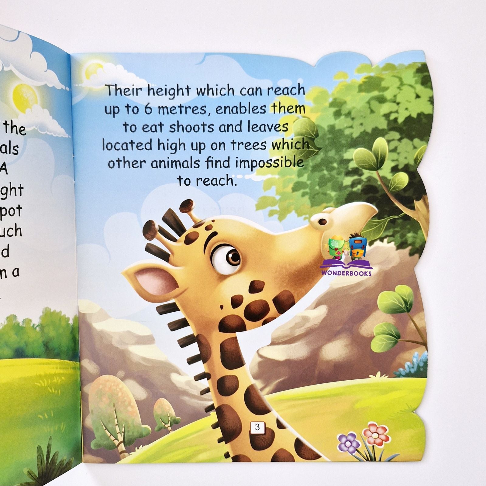 I am a Giraffe... the tallest animal in the world