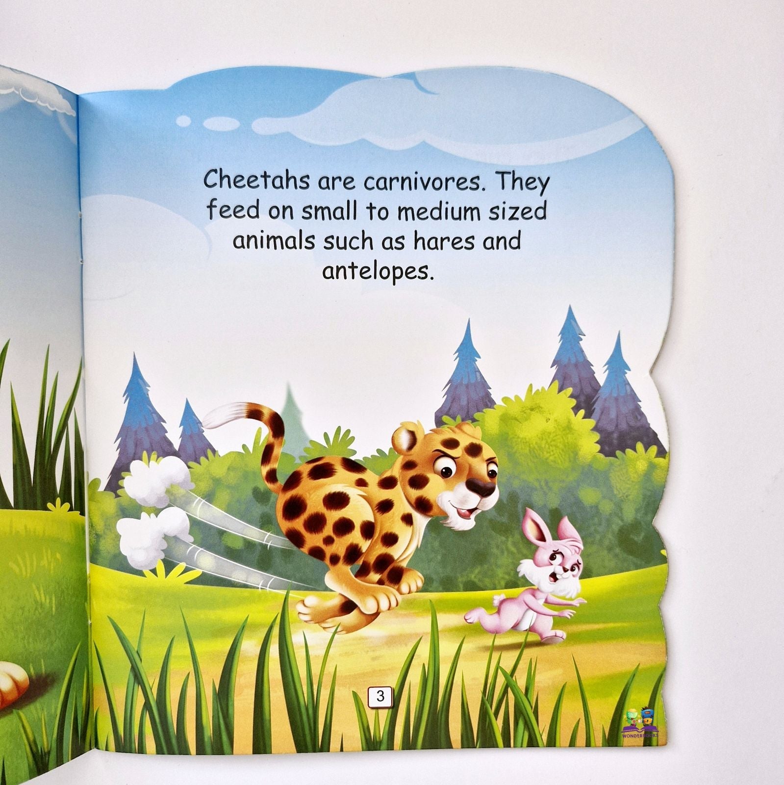 I am a Cheetah: The fastest land animal in the world