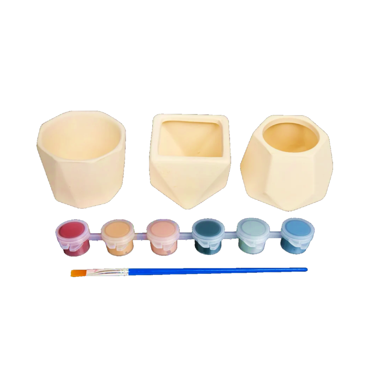 Paint your own Ceramic Planters