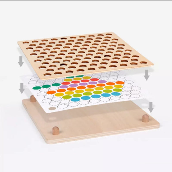 Sort and Match Activity