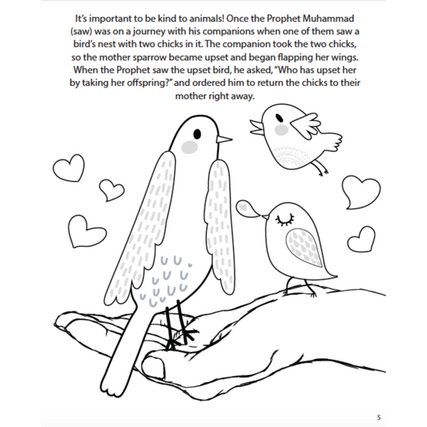 The Adventures of Malik and Ameerah (Activity Book)