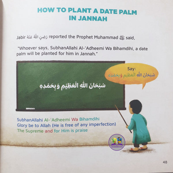 Exploring The Date Palm